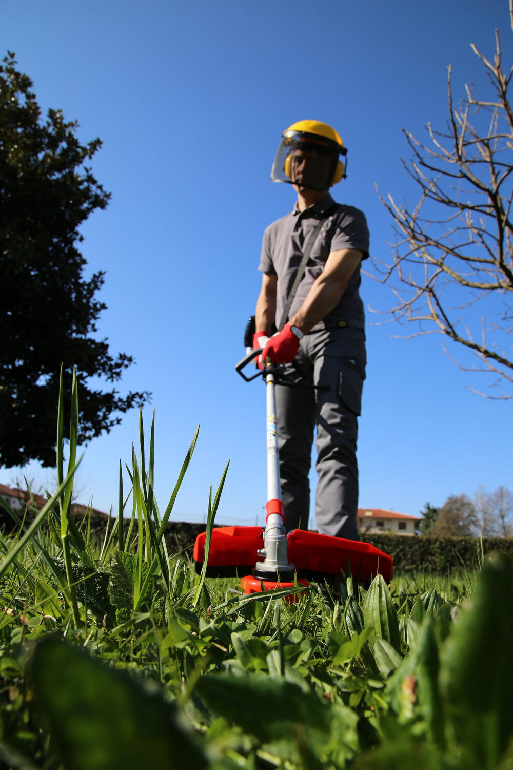 DECESPUGLIATORE A SCOPPIO EASY 43FG | Valex